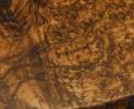 wohnsektion - Baumscheibe aus Nussbaum 310 x 140cm Thumbnail