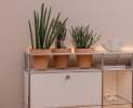 USM Haller - Sideboard mit indirekter Beleuchtung und Pflanzenelement reinweiss Thumbnail