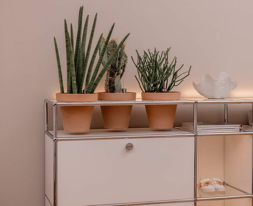 USM Haller - Sideboard mit indirekter Beleuchtung und Pflanzenelement reinweiss