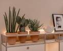 USM Haller - Sideboard mit indirekter Beleuchtung und Pflanzenelement reinweiss Thumbnail