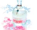 Dwersteg Destillerie - DAMASCENA – Rosenblüten – Liqueur Thumbnail