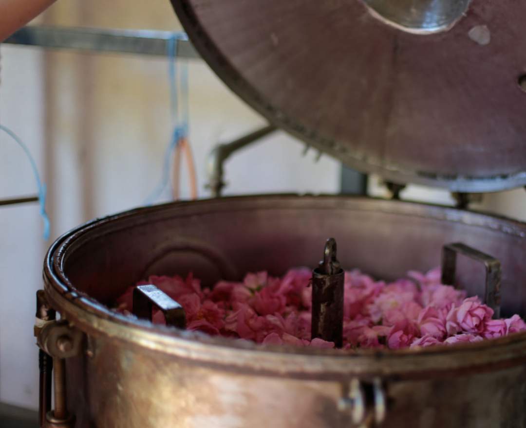 Dwersteg Destillerie - DAMASCENA – Rosenblüten – Liqueur