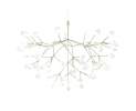 Moooi - Heracleum Leuchte Thumbnail