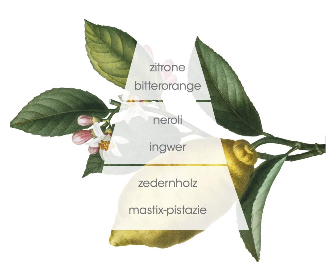 Mediterranea