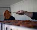 PURA Die Erlebnismanufaktur - Lichterfest / Streetfoodmarkt -  Ein Event der besonderen Art Thumbnail