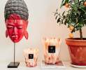 Baobab Collection - Duftkerze 'Coral Pearls' in Geschenkbox - MAX 10 cm Thumbnail
