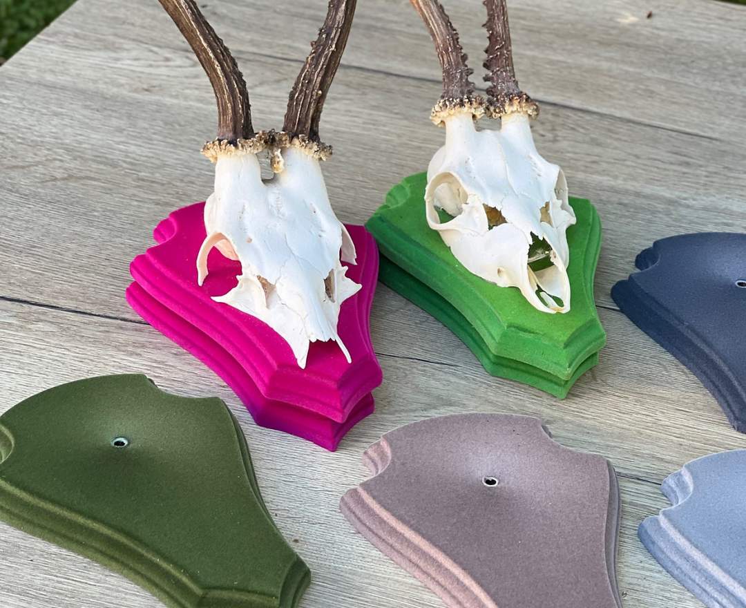 Geweihalm Rehbocktrophäe Holzbrett mit Beflockung pink