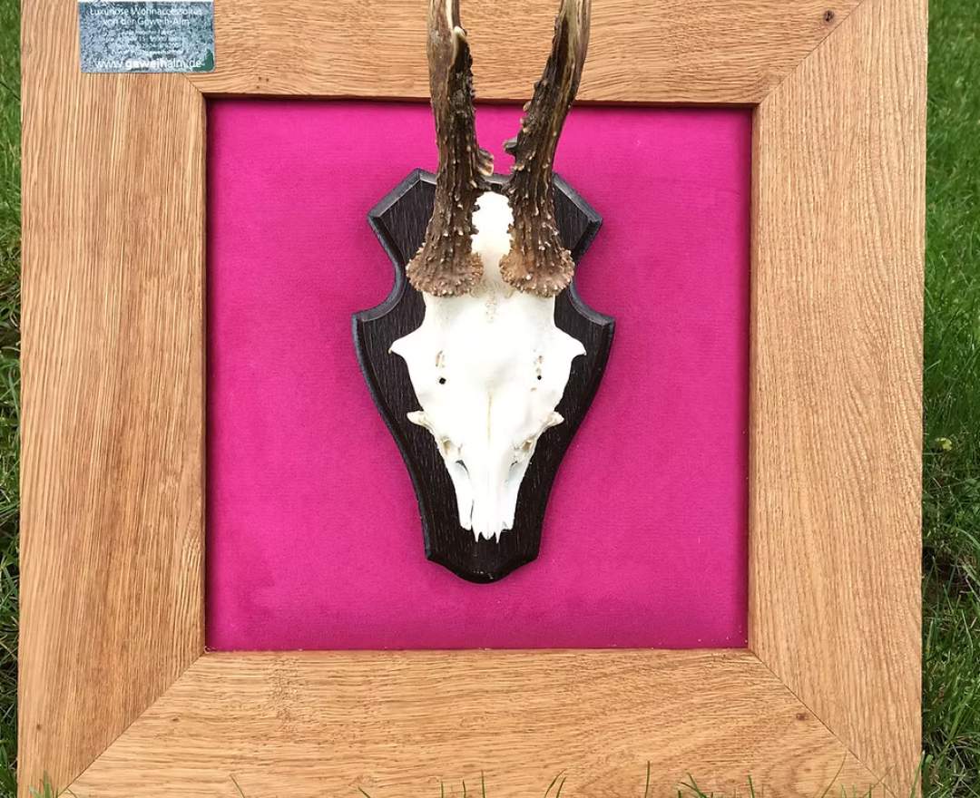 Geweihalm Bild mit Rehgehörn auf pinkem Samt