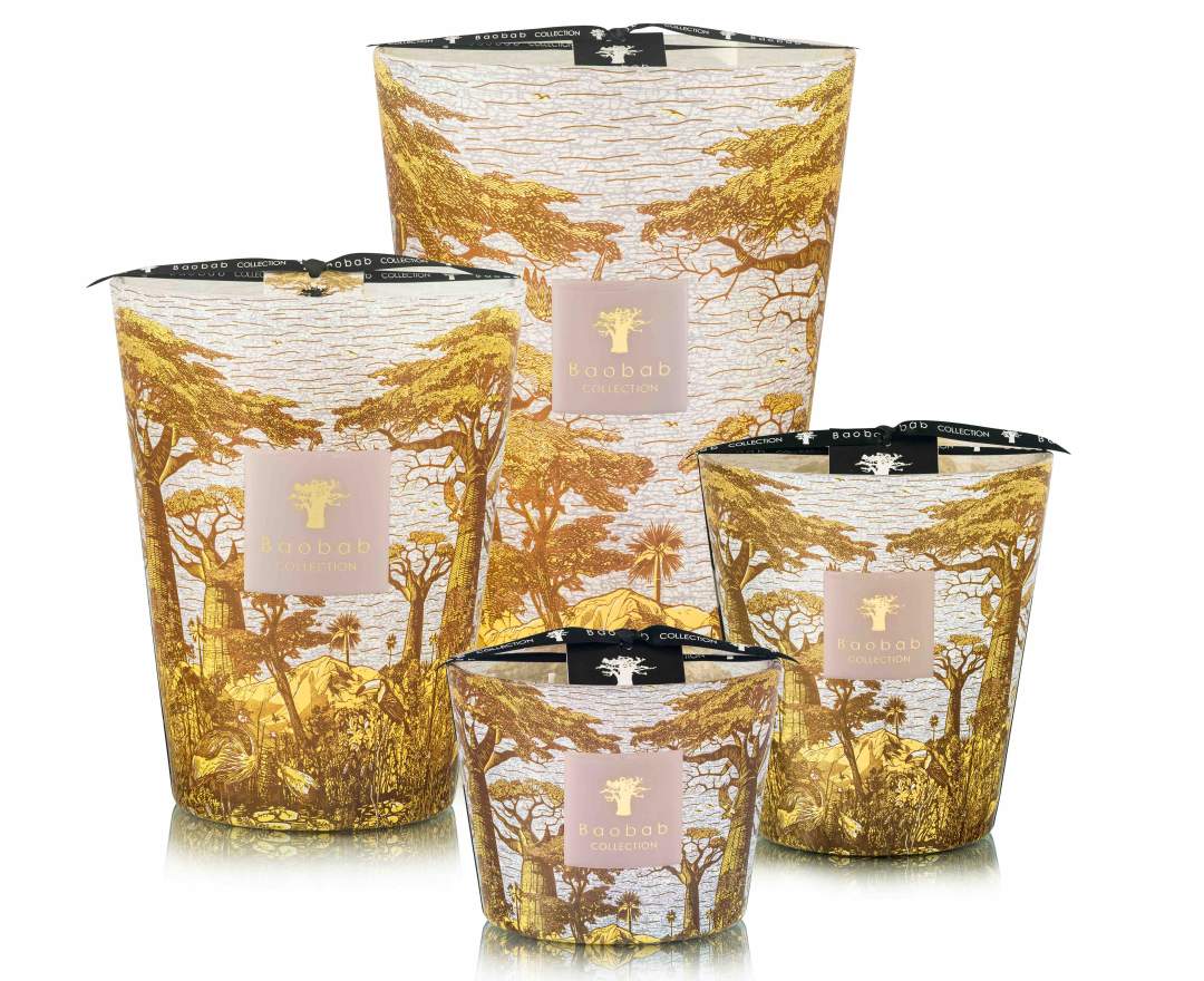 Baobab Collection Duftkerze 'Bounkani' in Geschenkbox
