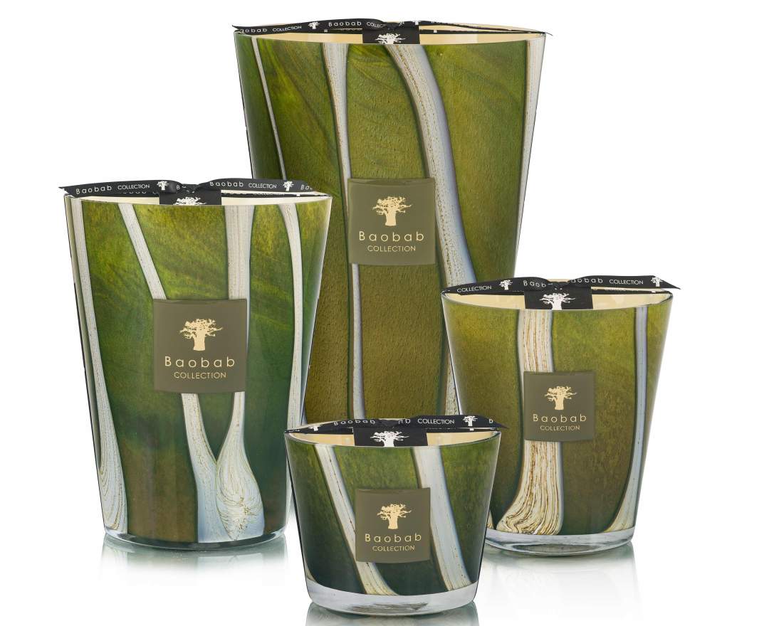 Baobab Collection - Duftkerze 'Sherwood' in Geschenkbox - MAX 10 cm
