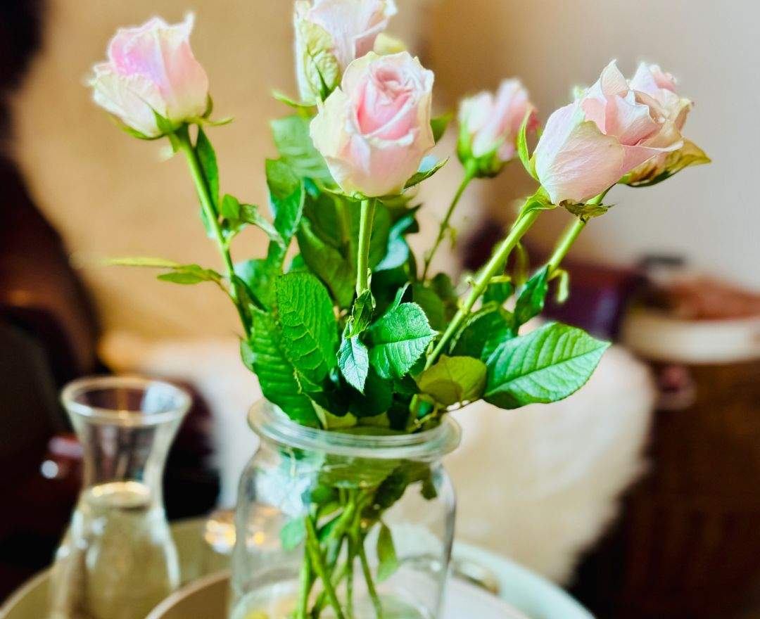 AyurYoMa - AyurYoMa Sanctuary – Ein Rückzugsort für Frauen, die mehr wollen als eine Auszeit