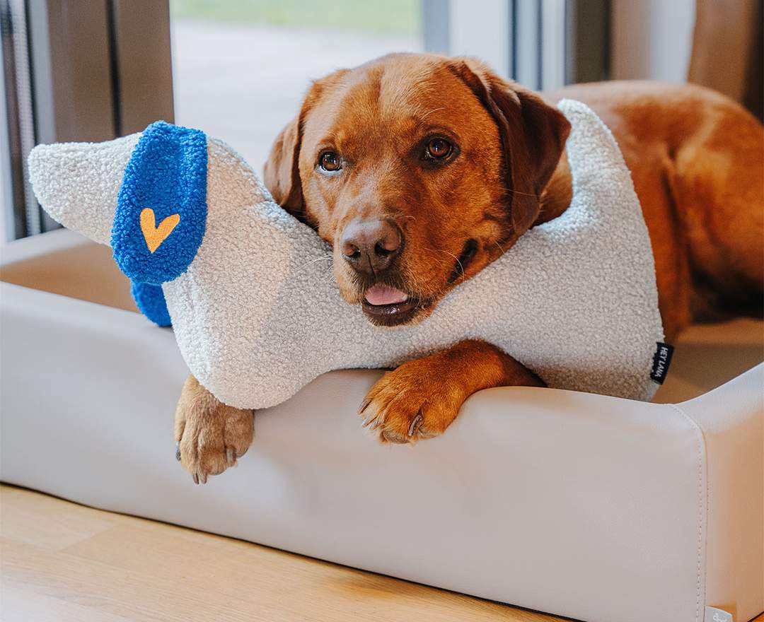 Hey Lana The Snuggle Pup - Hundekissen