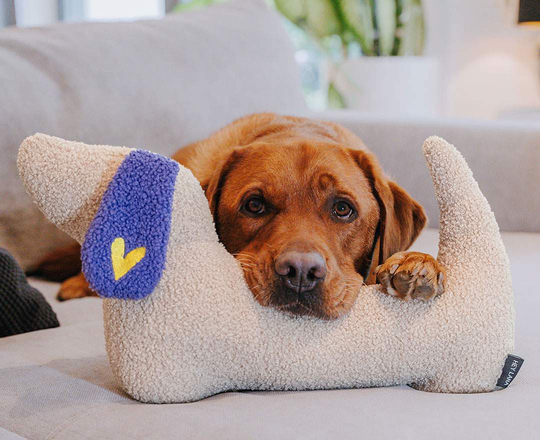 The Snuggle Pup - Hundekissen