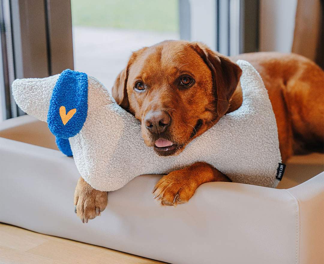 The Snuggle Pup - Hundekissen