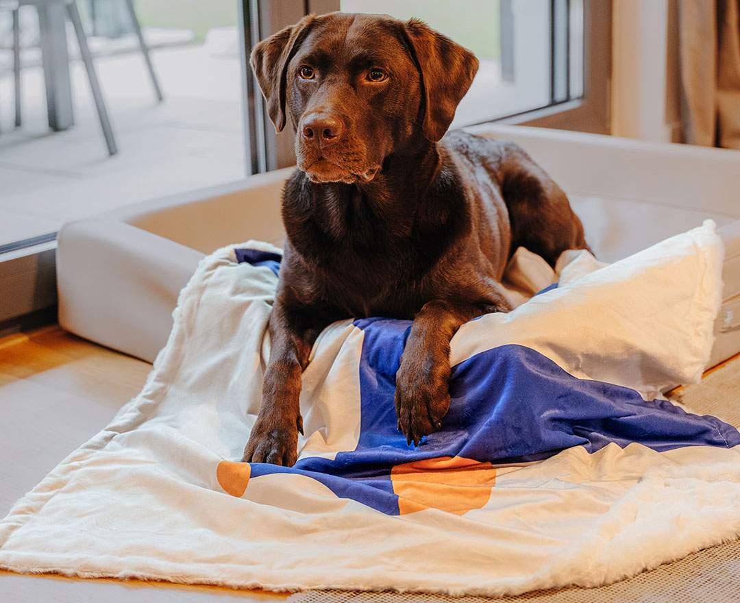 The Cozy Pup - Hundedecke