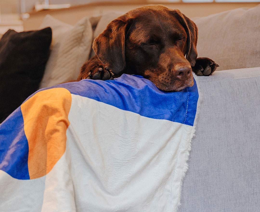 The Cozy Pup - Hundedecke