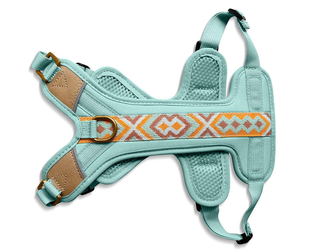 Hey Lana - Premium Hundegeschirr Gepolstert - Mint/Orange - Premium Hundegeschirr Gepolstert - Mint/Orange