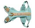 Hey Lana - Premium Hundegeschirr Gepolstert - Mint/Orange - Premium Hundegeschirr Gepolstert - Mint/Orange Thumbnail