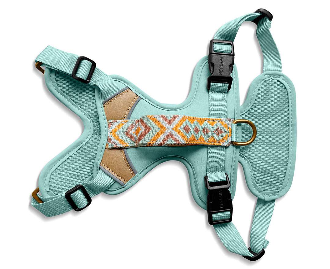 Hey Lana Premium Hundegeschirr Gepolstert - Mint/Orange
