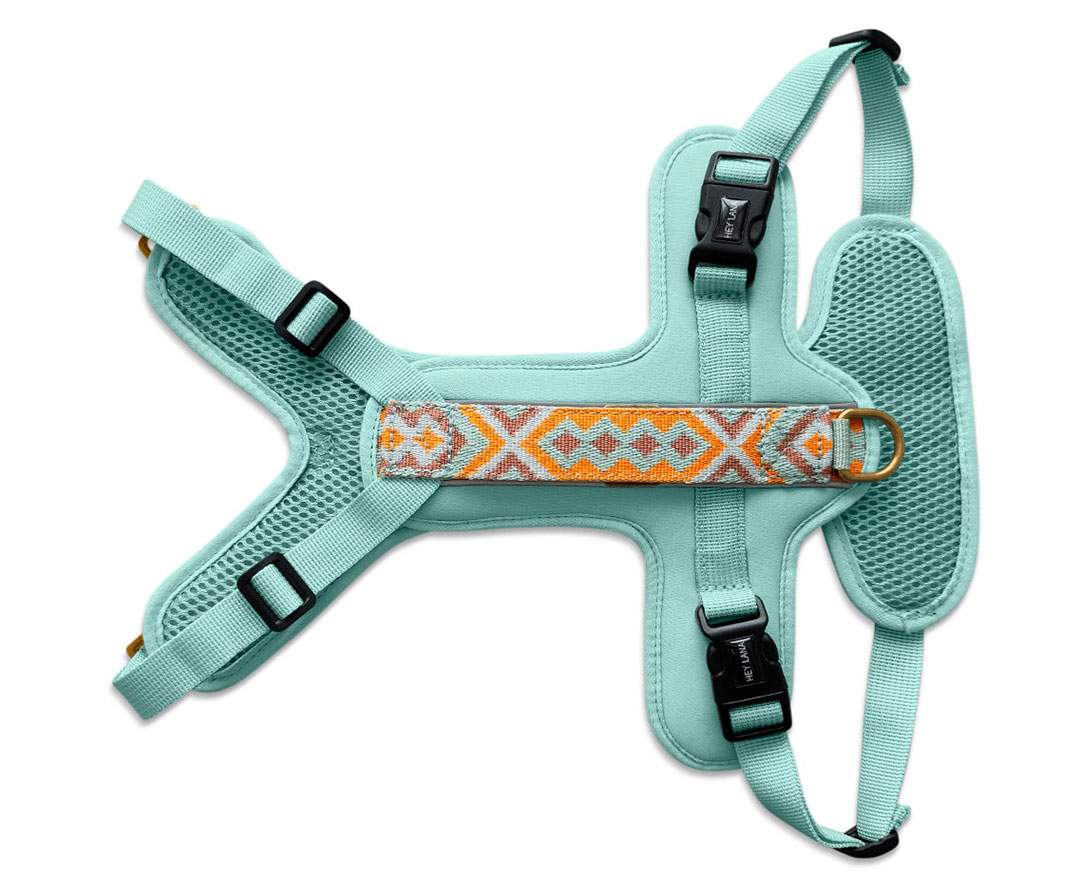 Premium Hundegeschirr Gepolstert - Mint/Orange
