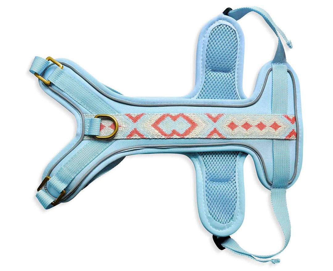 Premium Hundegeschirr Gepolstert - Coral/Blau