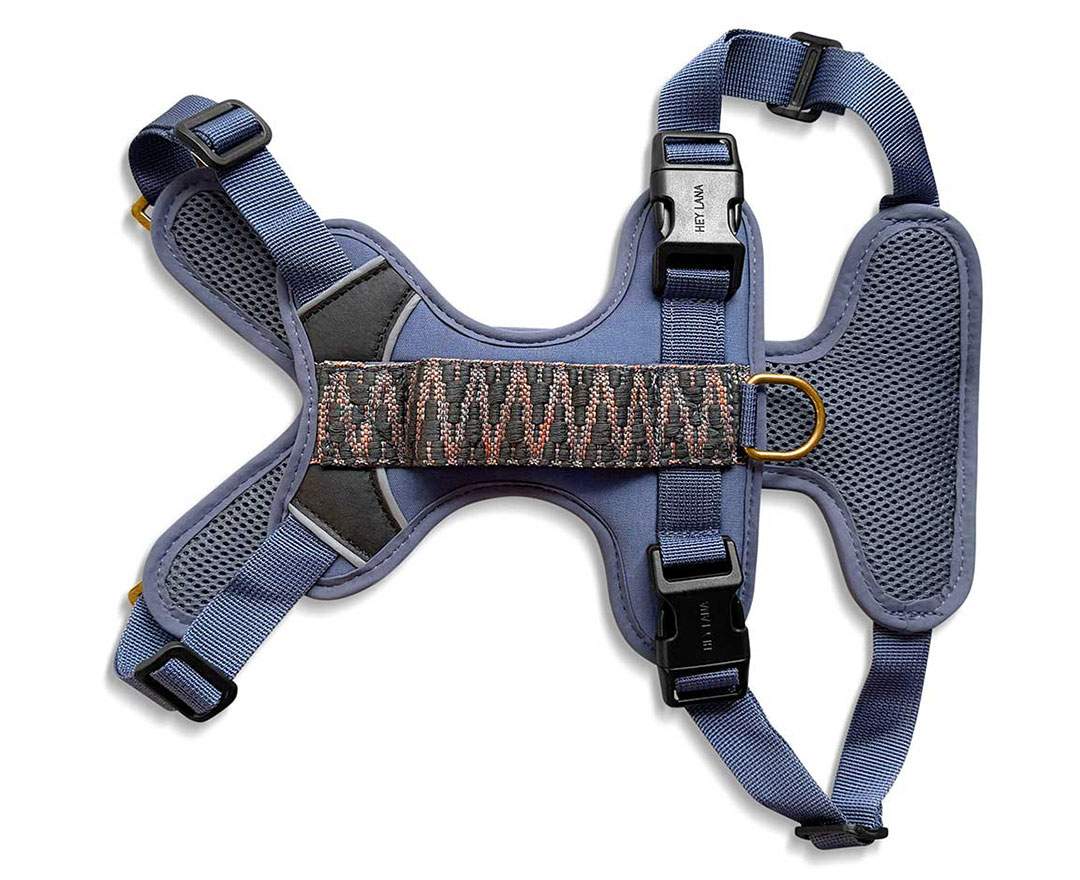 Hey Lana - Premium Hundegeschirr Gepolstert - Blau/Grau - Premium Hundegeschirr Gepolstert - Blau/Grau