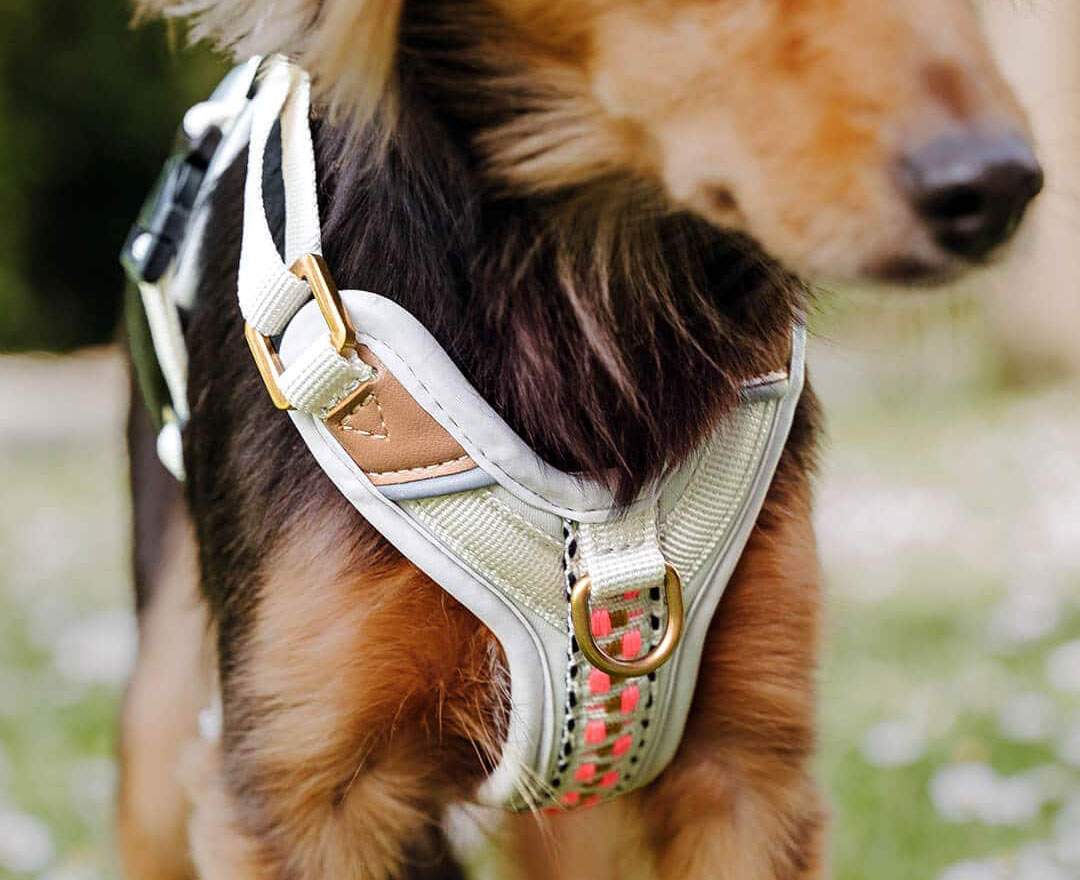 Premium Hundegeschirr Gepolstert - Pink/Beige