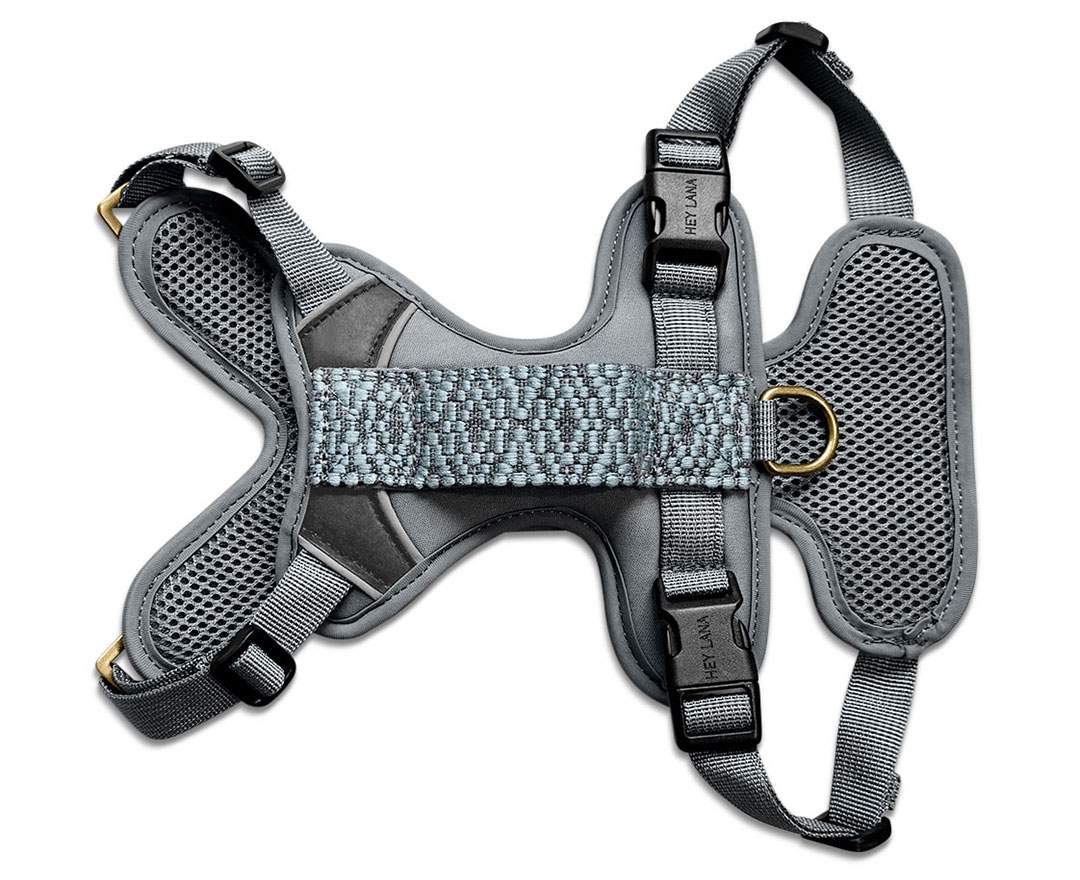 Hey Lana - Premium Hundegeschirr Gepolstert - Anthrazit/Eisblau - Premium Hundegeschirr Gepolstert - Anthrazit/Eisblau
