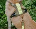Hey Lana - Premium Hundegeschirr Gepolstert - Olivgrün/Neongelb - L Thumbnail