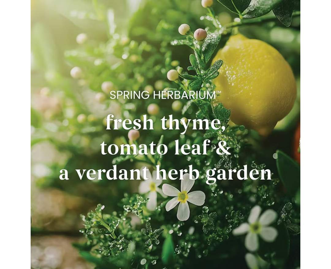 Yankee Candle - Spring Herbarium Scenterpiece™ Easy MeltCup