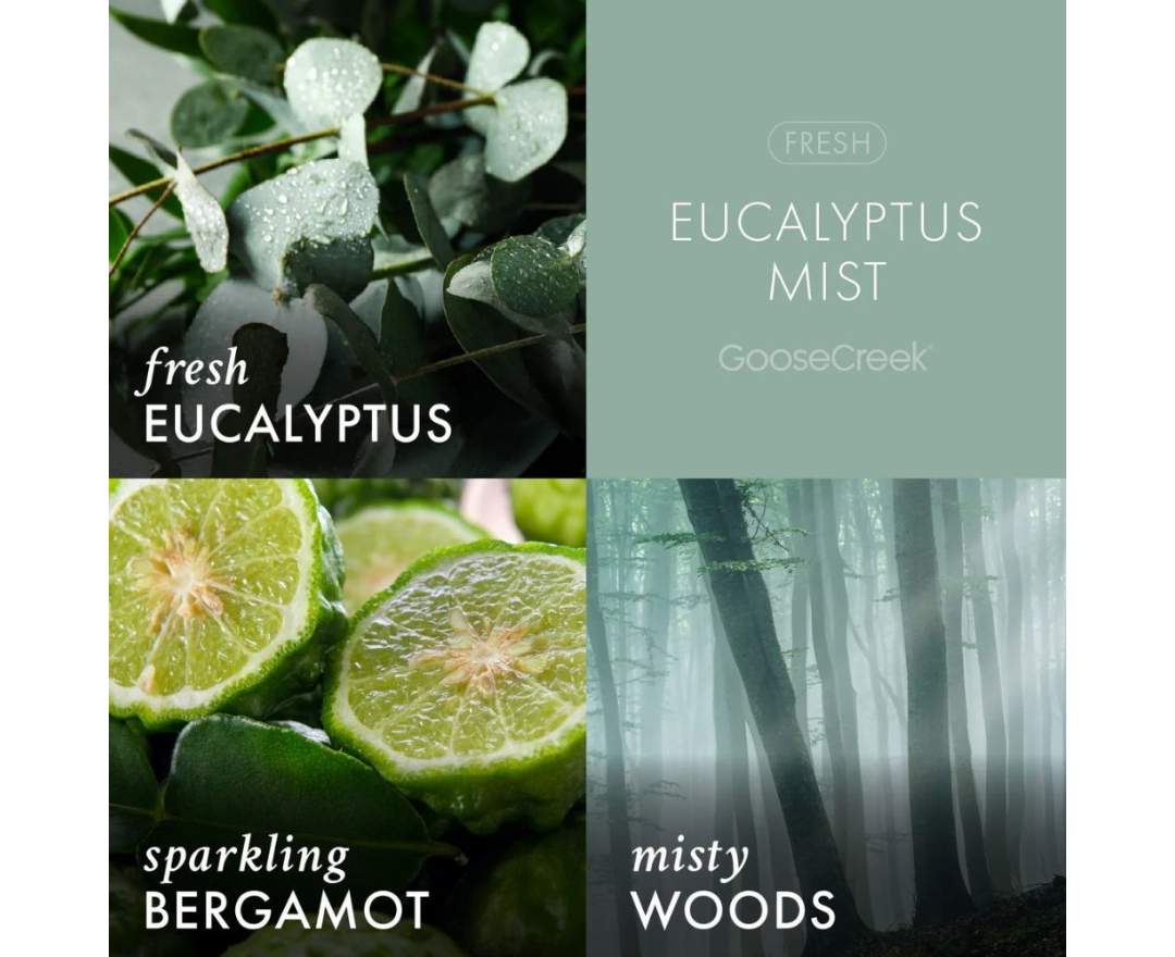 Goose Creek - Eucalyptus Mist Wachsmelt 59g