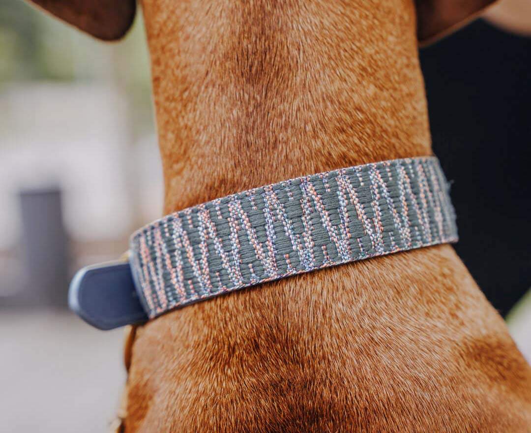 Hey Lana - Premium Hundehalsband Gepolstert - Blau/Grau - L