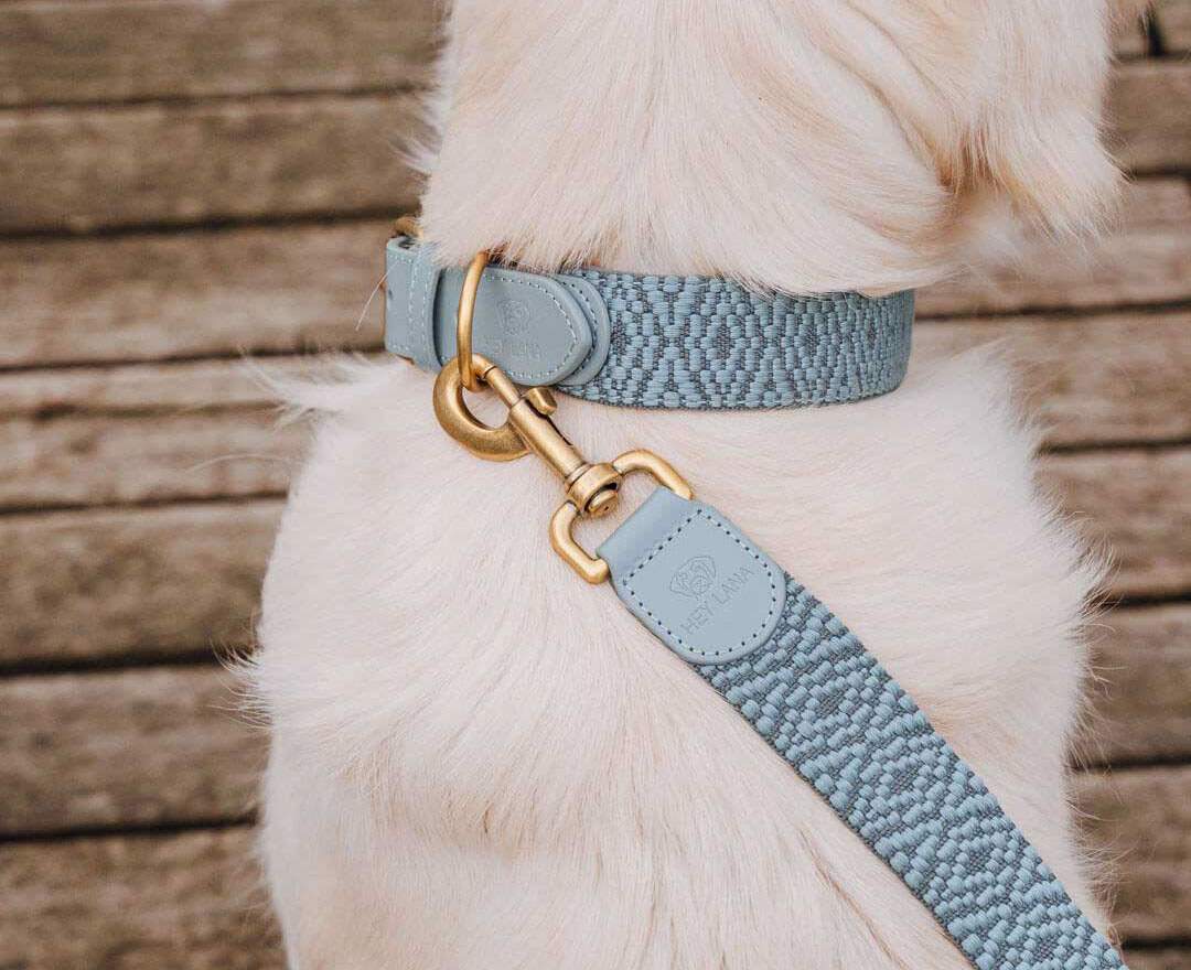 Hey Lana - Premium Hundehalsband Gepolstert - Anthrazit/Eisblau - L