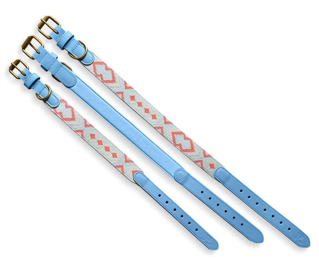 Premium Hundehalsband Gepolstert - Coral/Blau - XS