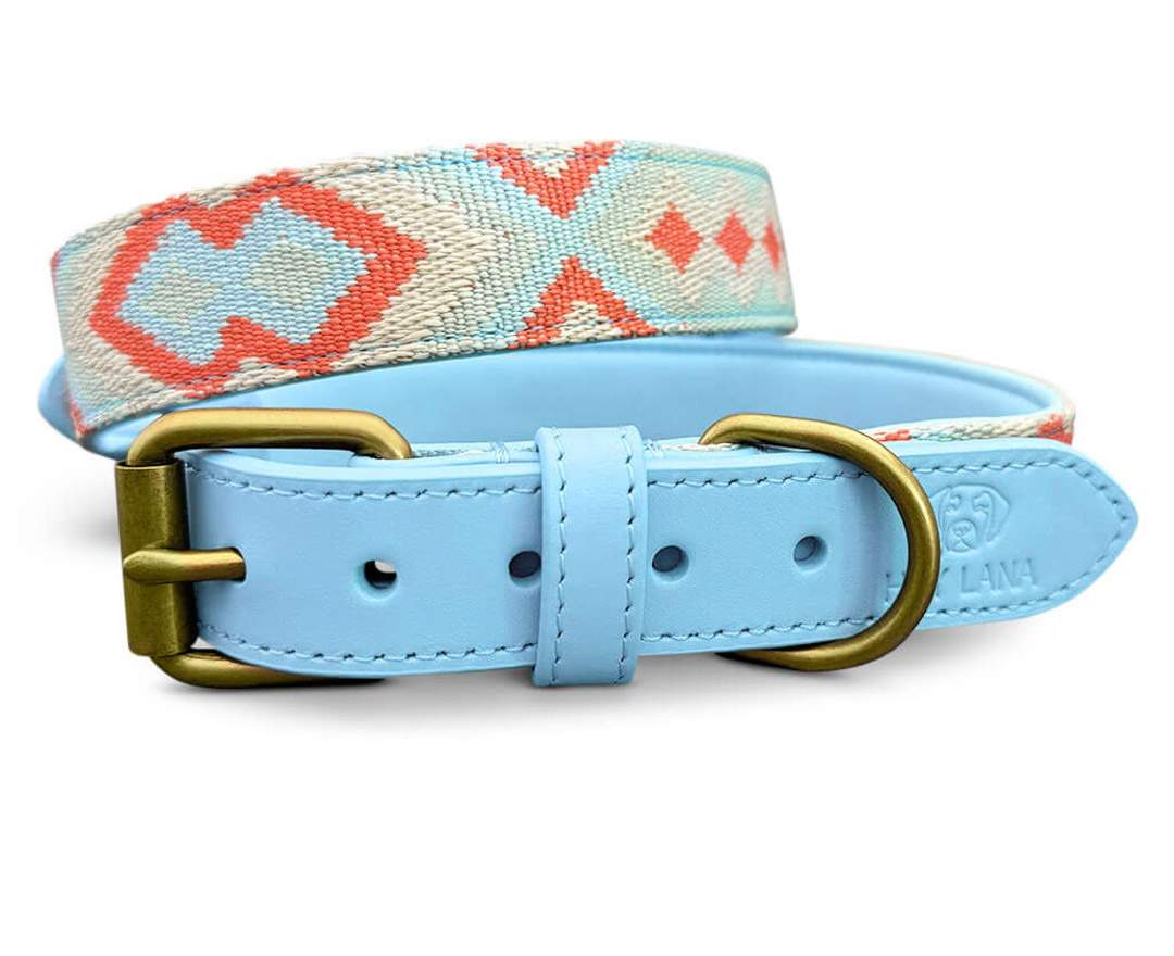 Premium Hundehalsband Gepolstert - Coral/Blau - M