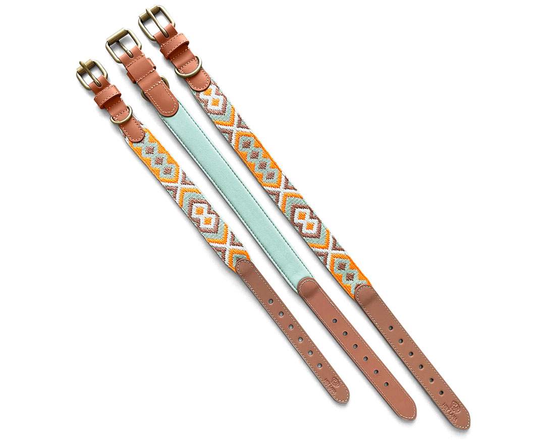 Premium Hundehalsband Gepolstert - Mint/Orange - XS