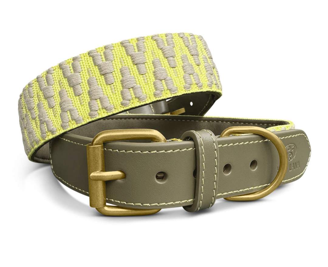 Hey Lana - Premium Hundehalsband Gepolstert - Olivgrün/Neongelb - L
