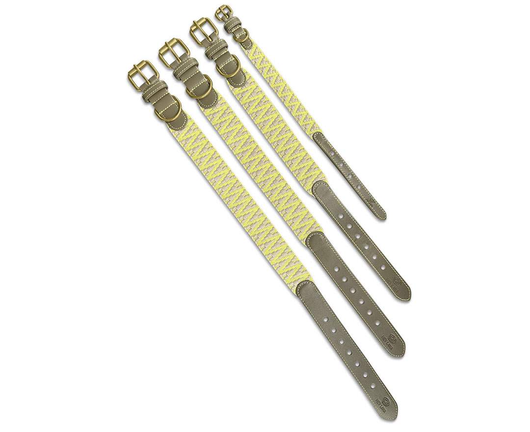 Hey Lana - Premium Hundehalsband Gepolstert - Olivgrün/Neongelb - L