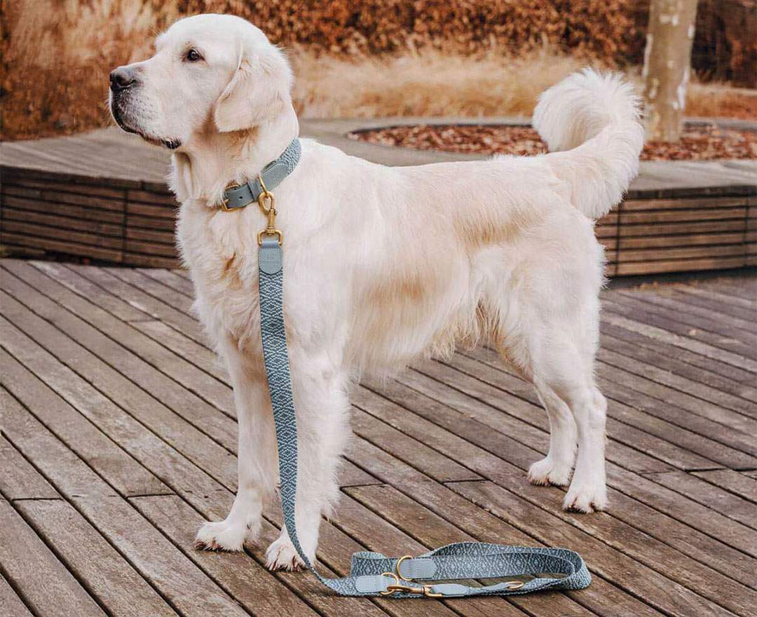 Hey Lana Premium Führleine - 3-fach verstellbar - 2m - Anthrazit/Blau