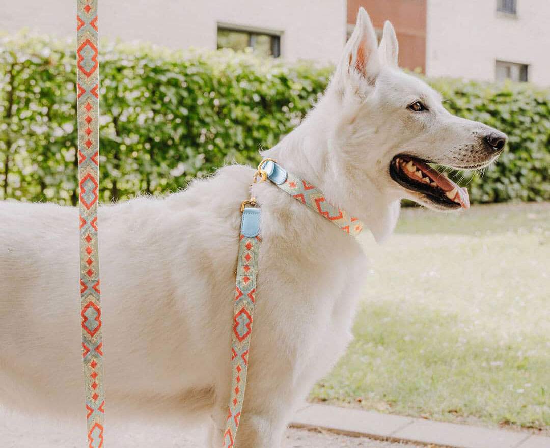 Hey Lana Premium Führleine - 3-fach verstellbar - 2m - Coral/Blau