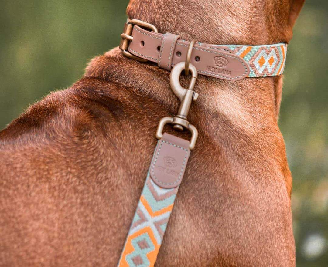 Premium Führleine - 3-fach verstellbar - 2m - Mint/Orange - XS-S (2 cm breit)