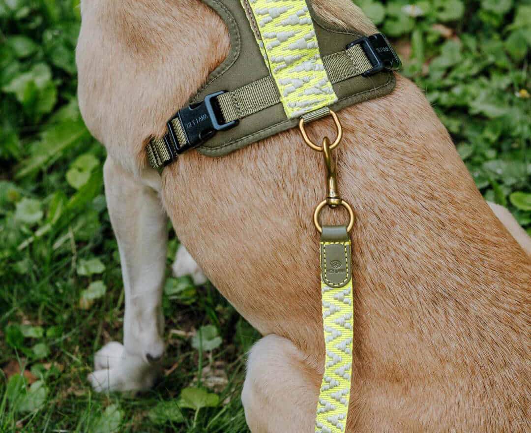 Premium Führleine - 3-fach verstellbar - 2m - Olivgrün/Neongelb - XS-S (2 cm breit)