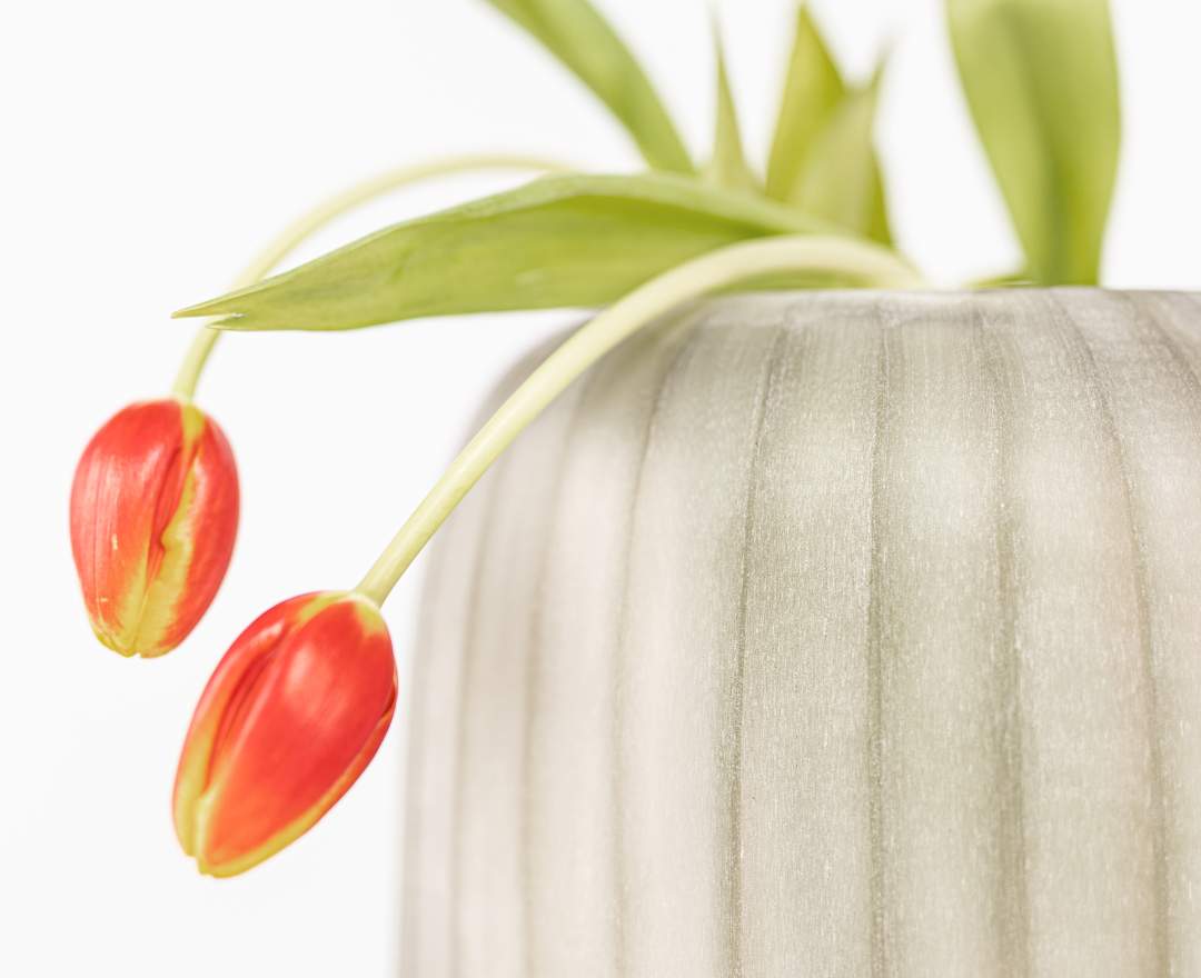 Guaxs - Erongo Vasen clear / smokegrey - hoch