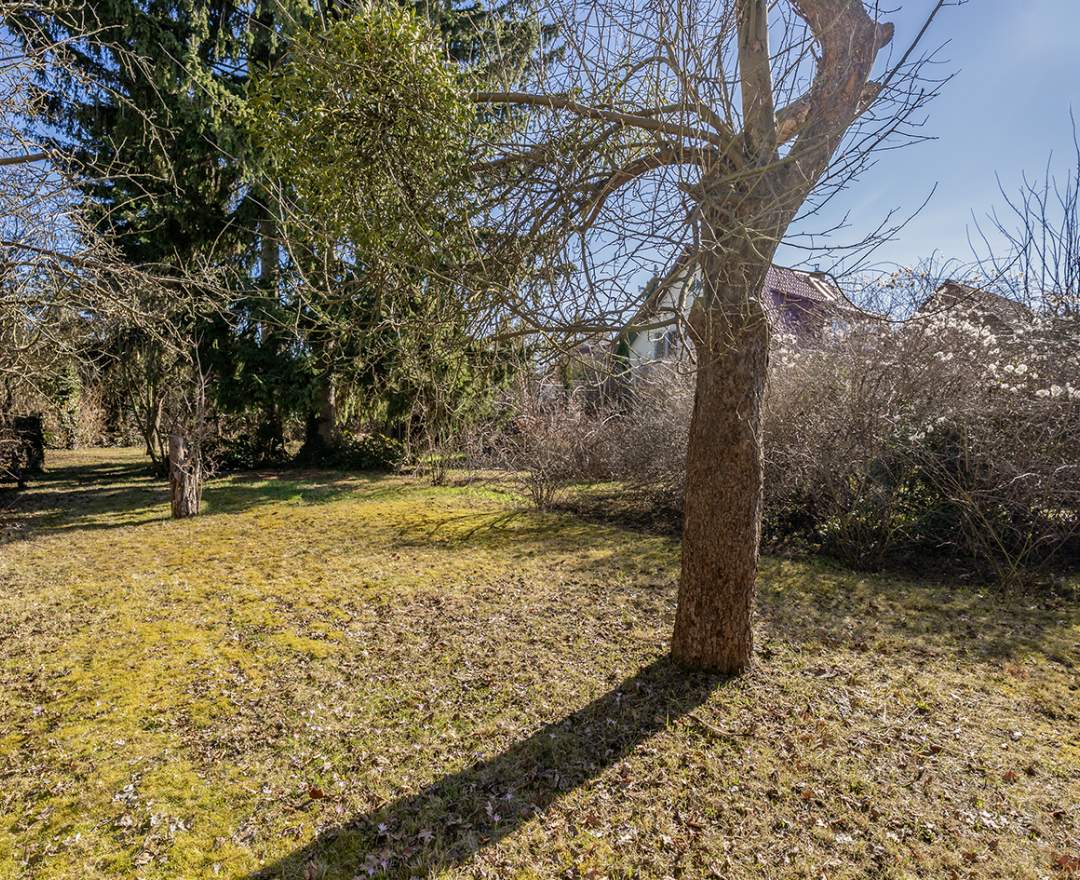 BSK Immobilien GmbH - Handwerkerobjekt auf 1.219 m² Grundstück nahe Heinrich-Laehr-Park