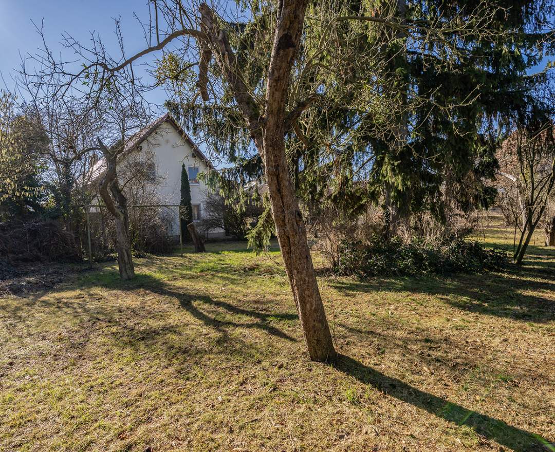 BSK Immobilien GmbH - Handwerkerobjekt auf 1.219 m² Grundstück nahe Heinrich-Laehr-Park