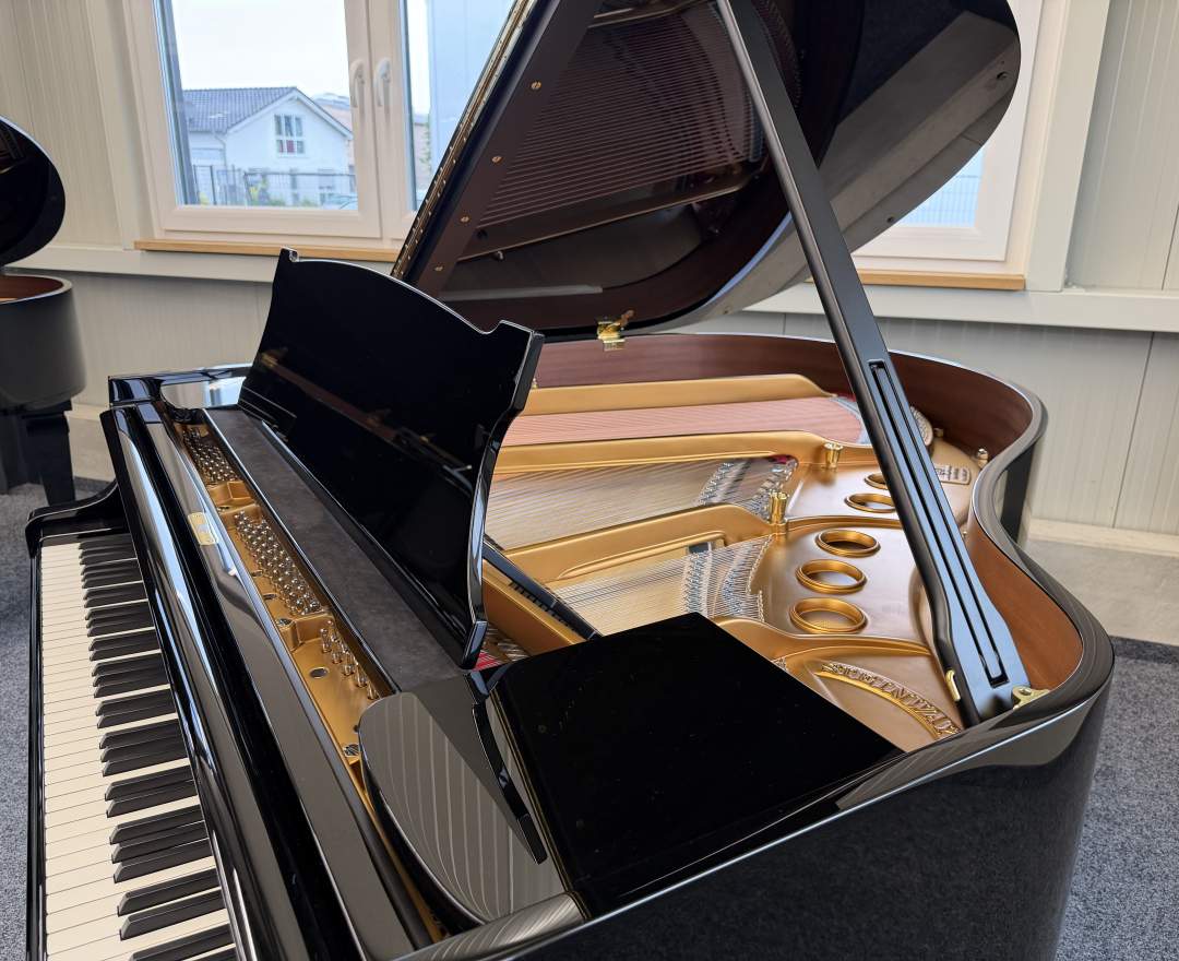 Steinway & Sons - Steinway & Sons Flügel, Modell S-155