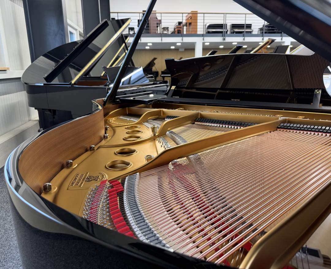 Steinway & Sons - Steinway & Sons Flügel, Modell S-155