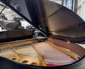 Steinway & Sons - Steinway & Sons Flügel, Modell S-155 Thumbnail