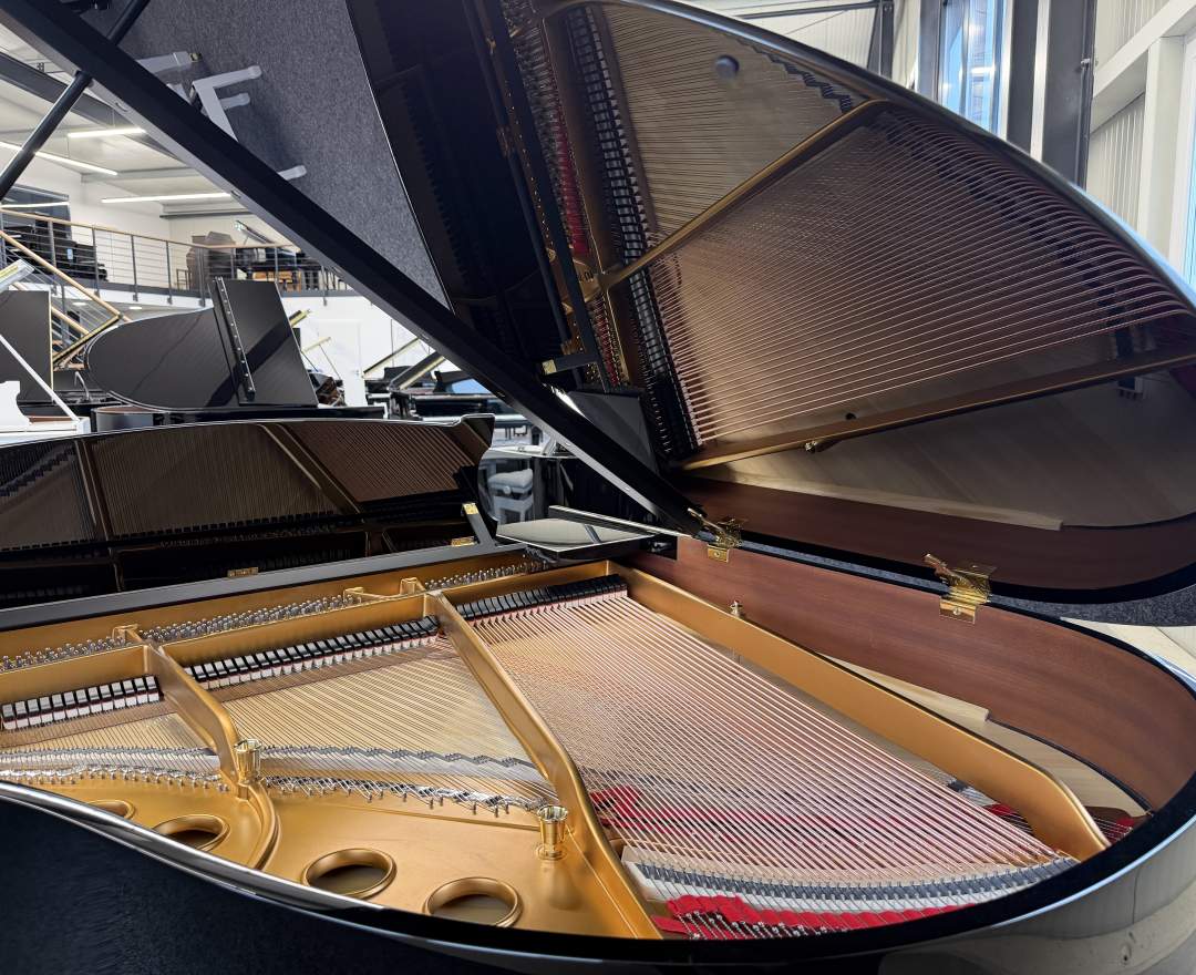 Steinway & Sons - Steinway & Sons Flügel, Modell S-155