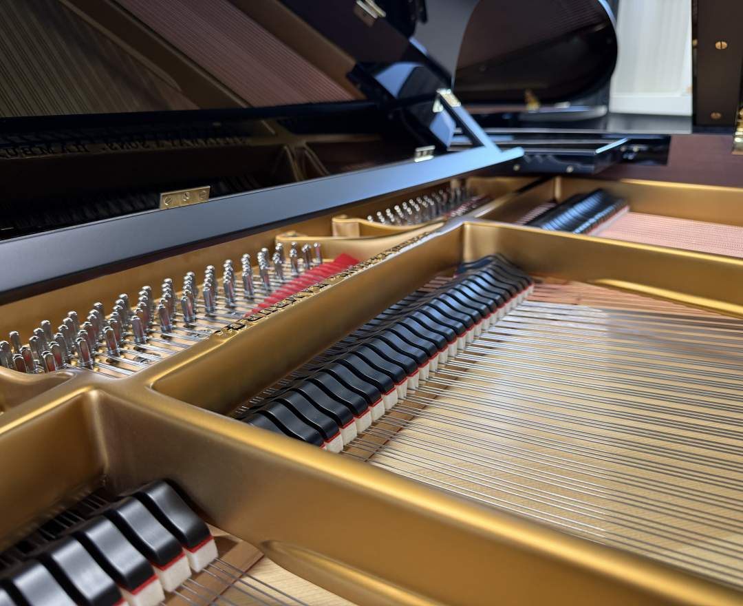 Steinway & Sons - Steinway & Sons Flügel, Modell S-155